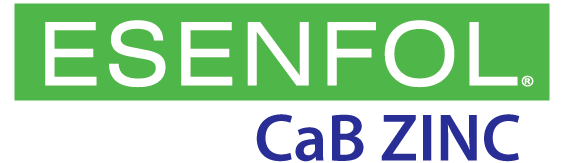 Esenfol CaB Zinc